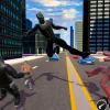 Black 3D Panther Fighting Game