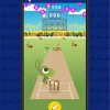 Cricket Contest | Create Your Own Cricket Tournament App