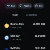 Digital/Crypto Wallet UI