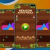 Hexagon Blocks Puzzles