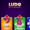 Ludo Multi Player Unity Project