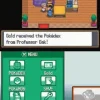 Pokemon soul Silver Nds