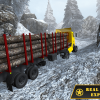 Cargo Truck Driving Simulation