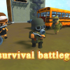 Mini Survival Battleground : Fire Battle