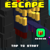 Temple Escape – New Mobile Endless Runner