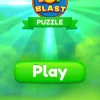 Toy Blast Puzzle